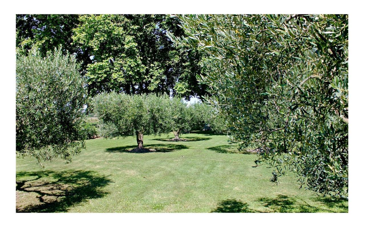 Le Domaine De Laforest Фонвьей Экстерьер фото