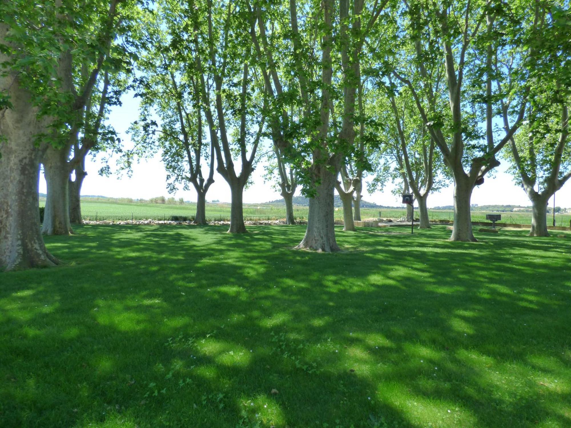 Le Domaine De Laforest Фонвьей Экстерьер фото