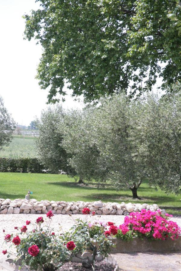 Le Domaine De Laforest Фонвьей Экстерьер фото